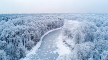 Obraz premium Serene Frozen River in Snowy Landscape Surrounded by White Trees