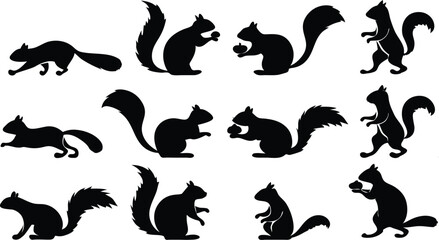 Squirrel silhouette vector set in some of different style using black color illustration design