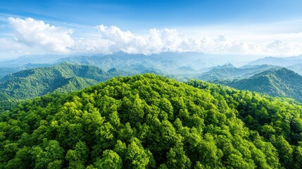 Obraz premium Lush green mountain range under a bright blue sky.