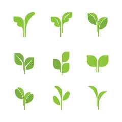 Set of green fresh leaves vector