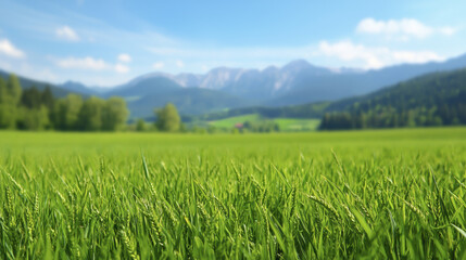 Obraz premium Lush green grass field with mountains in background under clear blue sky, creating serene and peaceful landscape
