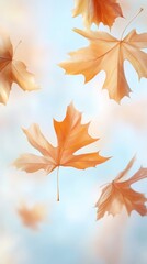 Obraz premium A close up of a few leaves floating in the air