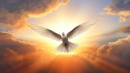 Fototapeta premium Dove gliding against a radiant sunset showcasing its full wingspan amidst dramatic clouds and sun rays