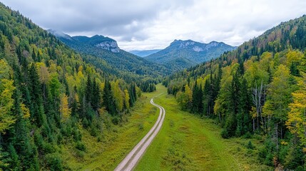 Naklejka premium Aerial view of a winding road through a lush green valley surrounded by mountains under a cloudy sky.