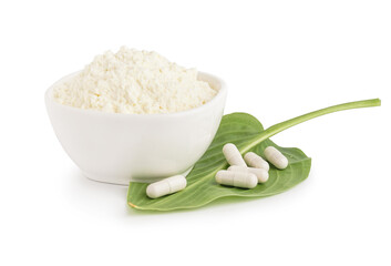 Bowl with collagen powder, pills and leaf on white background