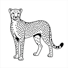 a cheetah standing tall. The cheetah is drawn in a black and white style, highlighting its sleek and spotted body.