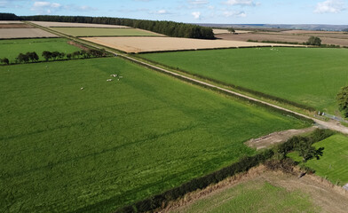 Aerial view of small farmer's track through fields and landscape