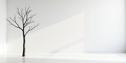 Obraz premium Minimalist Room Interior Design Featuring a Bare Branch Tree Silhouette Against a White Wall