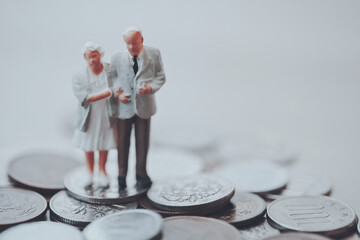 お金とミニチュアのシニア男女パートナー