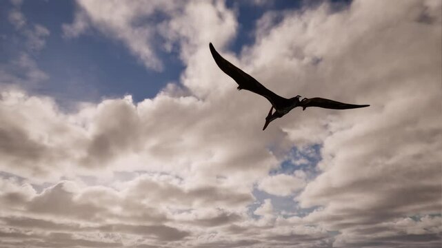 Pteranodon flying on day time with white puffy clouds moving 3D animation camera static from behind