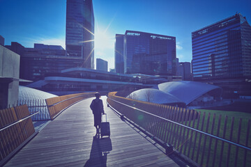 Fototapeta premium キャリーケースを持った女性旅行者の後ろ姿