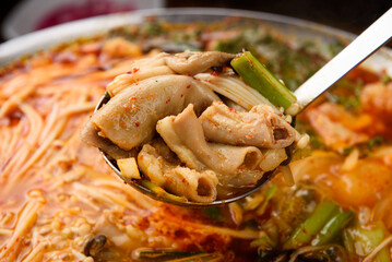 Spicy Korean Beef Intestine Stew