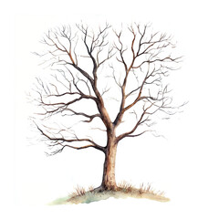 Obraz premium watercolor trees on a white background, spring plant clipart