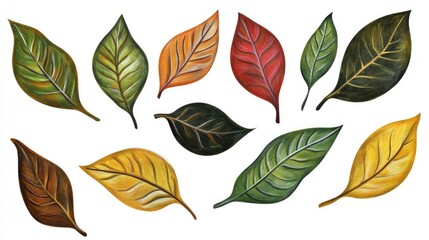 Obraz premium Colorful collection of various autumn leaves in different shapes showcasing natural foliage and seasonal change in a vibrant artistic style