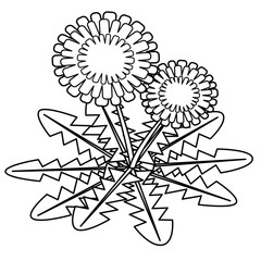 春の植物であるタンポポのイラスト