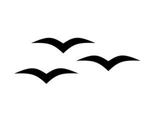 swallow or seagull icon vector on white background