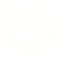 heart shaped smoke, power of heart, fire of love concept,realistic smoke effects