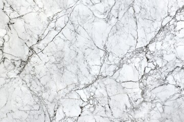 Fototapeta premium Detailed Examination of Intricate Veining Patterns Suitable for Scientific Research and Analysis