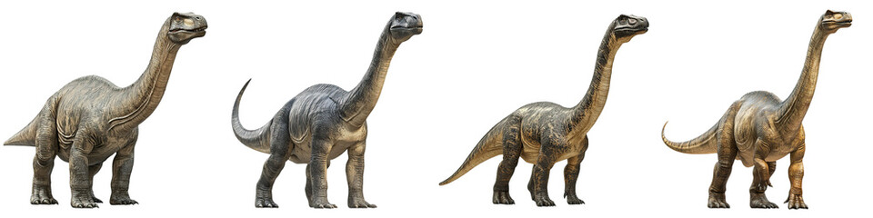 Obraz premium Four argentinosaurus dinosaur figures stand in a row, showcasing their long necks and tails, depicting a prehistoric theme with various textures and colors.