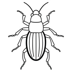 Bark Beetle insect flat vector illustration on white background