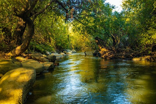 Peaceful Banias River Flowing Through Northern Israel