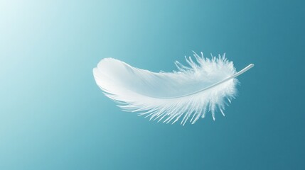 Obraz premium Single white feather floats on a blue background.