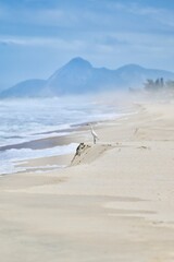 beach in the morning