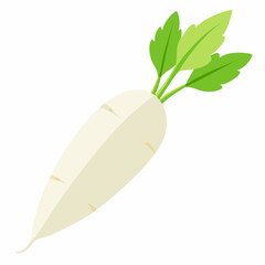 white long radish isolated white background