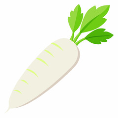 white long radish isolated white background