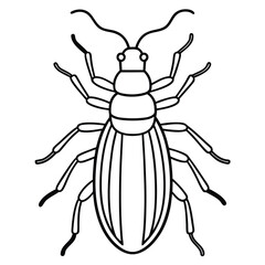 Beetle insect flat vector illustration on a white background