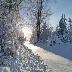 footsteps in the snow in a snowy landscape point the way into the new year and the future