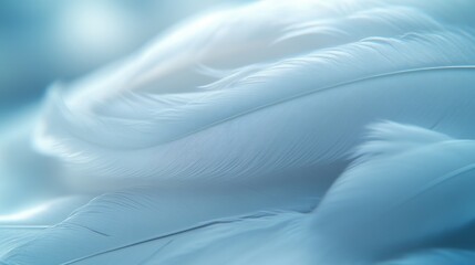 Obraz premium Soft feathers create a natural texture with plume and fluffy color, showcasing the fragile beauty of swan and bird feathers for art wallpaper and smooth background.