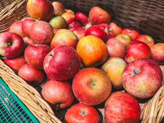 A basket full of apples with some of them being red and some of them being green