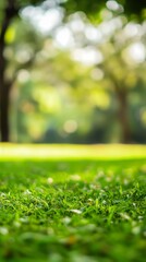 Naklejka premium Abstract concept of unfocused blurred bokeh natural outdoor park scenery landscape with empty space for copy or text on green background. space background. Ultra realistic. Photorealistic
