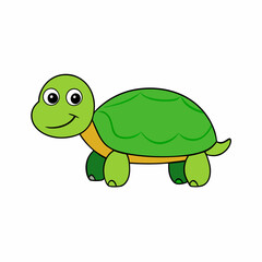 turtle cartoon