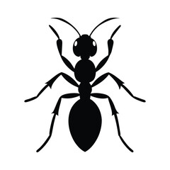 Ant silhouette vector art illustrator.