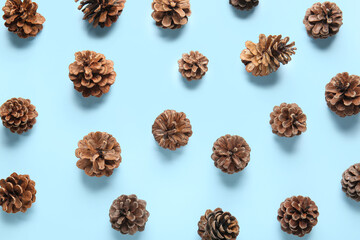 Many pine cones on blue background