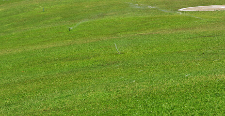 Green grass golf course background texture