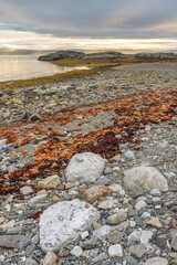 A calm summer evening by the sea in Porsangerfjorden. Finnmark, Northern Norway