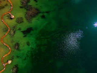 green, water, light, nature, texture, illustration, forest, grunge, christmas, pattern, design, rain, wallpaper, art, tree, dark, grass, night, tropican