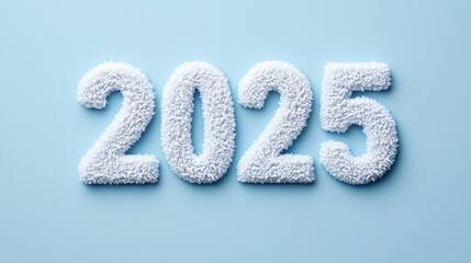 The image features the year "2025" crafted from a textured, fluffy material against a light blue background.