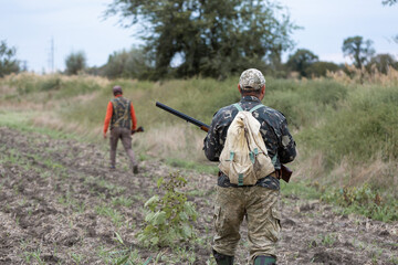 Mature hunter man holding a shotgun and walking through a field