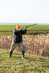Mature hunter man holding a shotgun and walking through a field