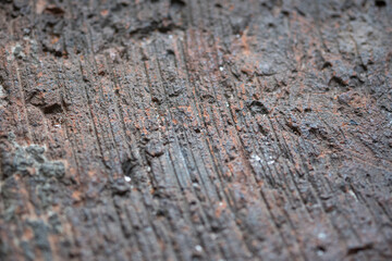 The texture of the brick in close-up