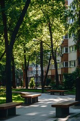Obraz premium Sunlit Park Bench Pathway Urban Green Space