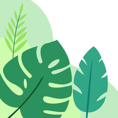 Aesthetic Plant Corner