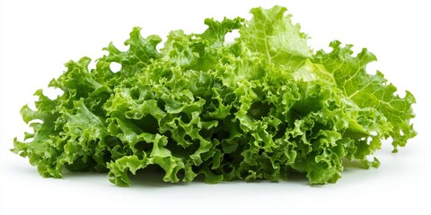 Obraz premium A fresh French salad featuring lettuce that stands alone against a white background. This vibrant salad showcases crisp lettuce in an isolated setting.