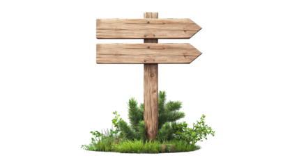 Wooden directional signpost surrounded by greenery nature scene transparency background outdoor view