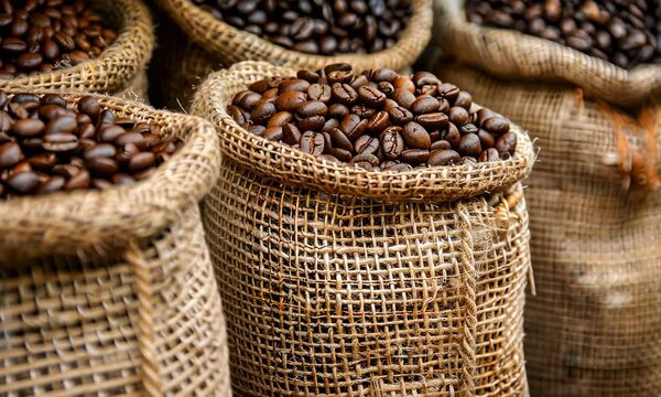 Burlap sacks filled with roasted coffee beans