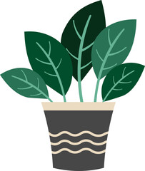 Aesthetic House Plant Decoration